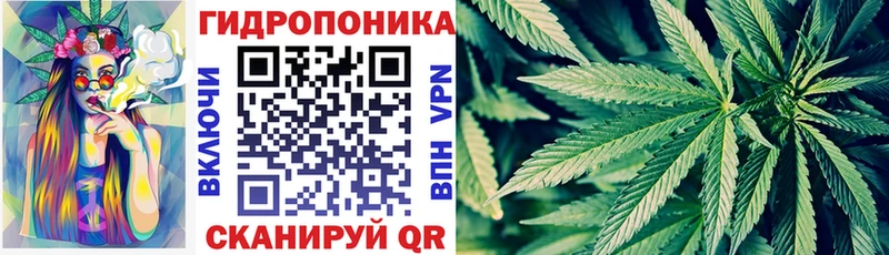 Купить закладки  Снежногорск  Каннабис THC 21% 